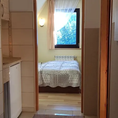 Apartamenty Pod Limba Zakopane Exterior photo