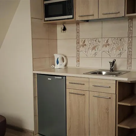 Apartamenty Pod Limba Zakopane Exterior photo