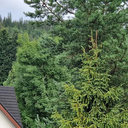Apartamenty Pod Limba Zakopane Exterior photo