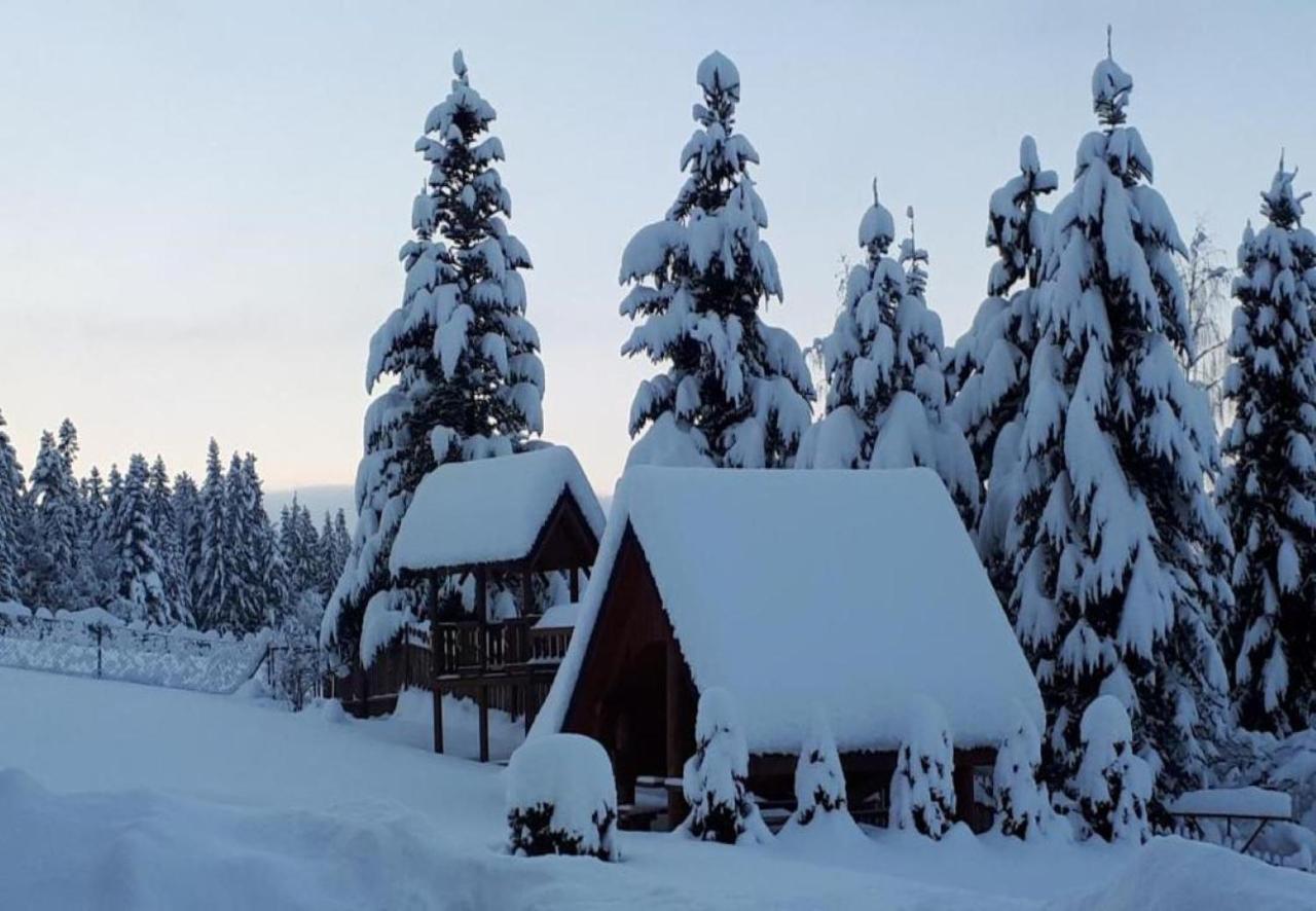 Pod Limba Apartment Zakopane
