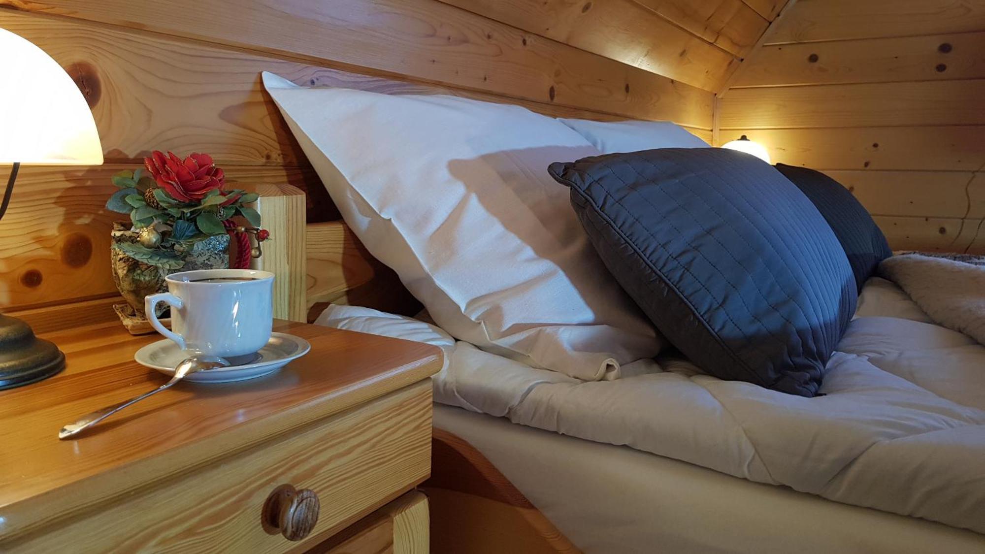 Pod Limba Apartment